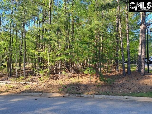 512 Links Pointe Court  Photo 8