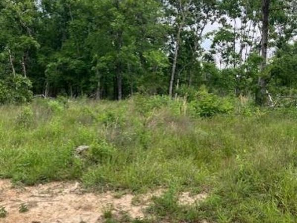 231 Madison CR 410 , Fredericktown, MO 63645