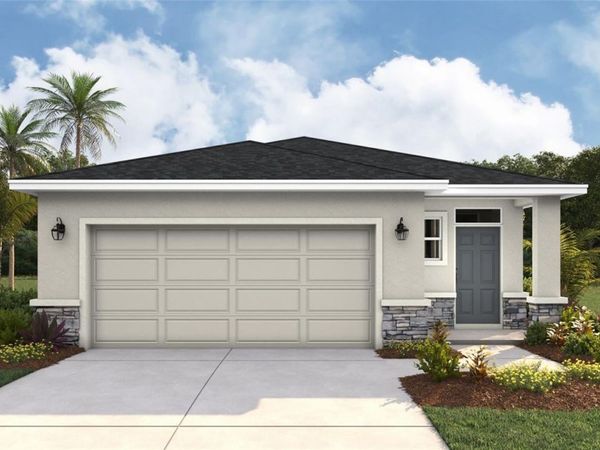 8821 CLEAR VIEW STREET , PARRISH, FL 34219