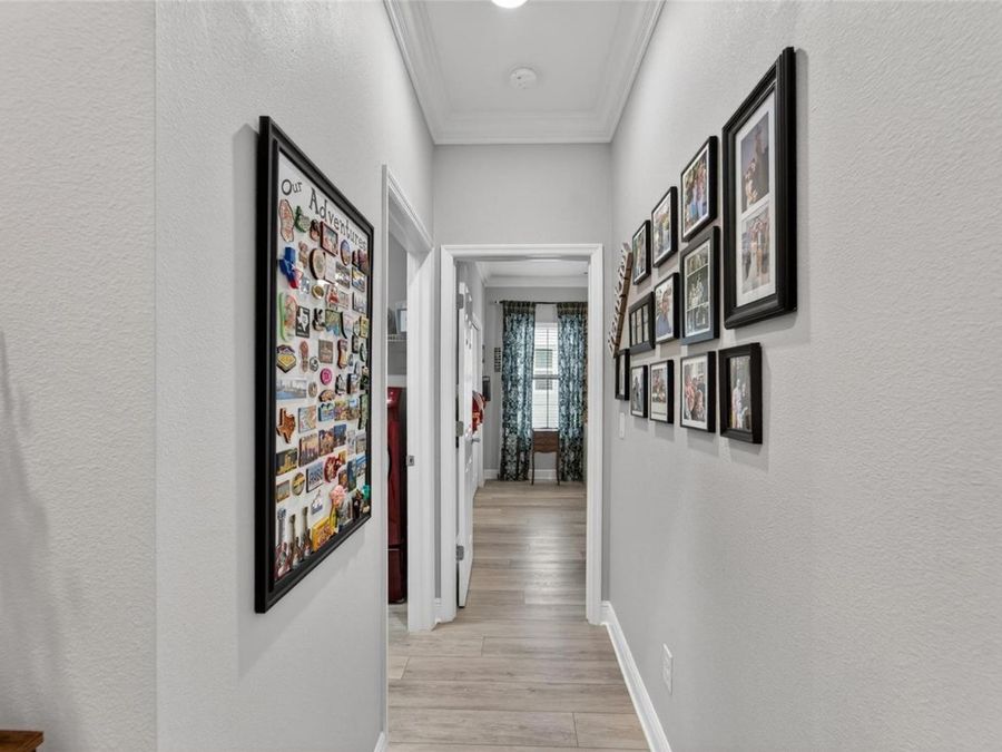 Property Image 58