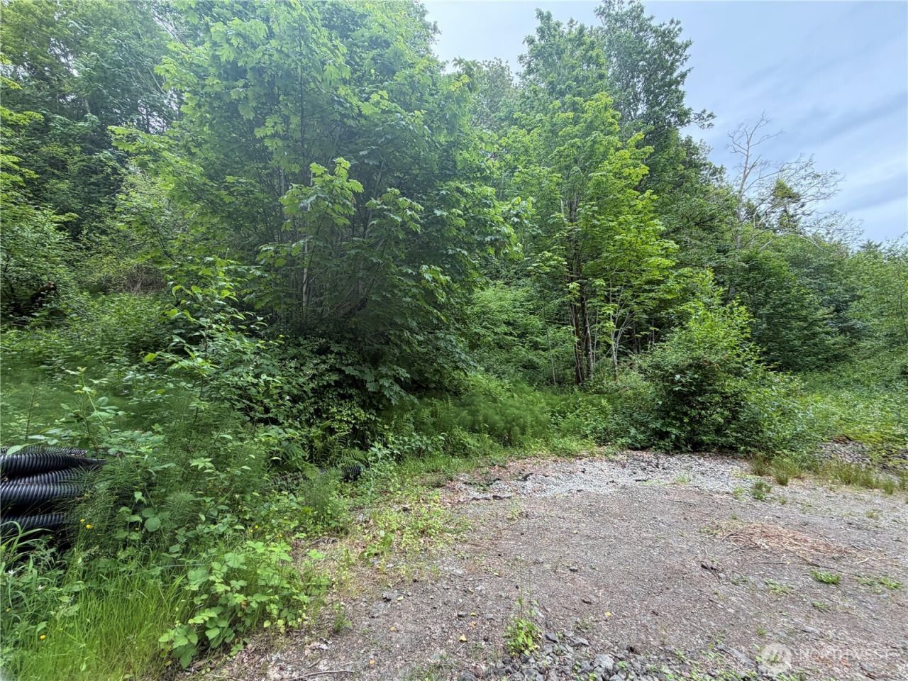7095 Wilson Creek Road Se, Port Orchard, WA 98367