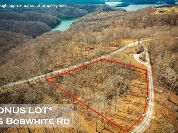 1G Bobwhite, Hilham, TN 38568
