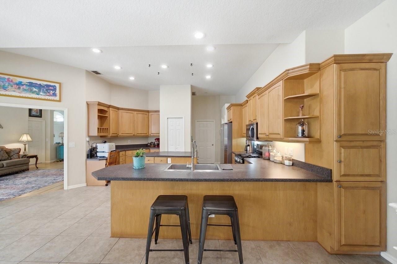2138 Edelweiss Loop, Trinity, FL 34655 Photo