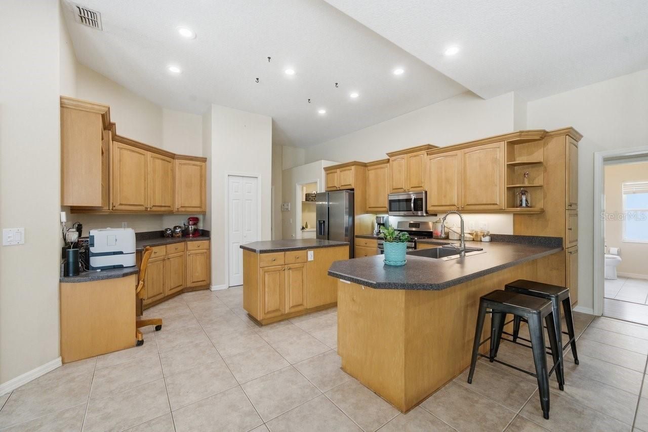 2138 Edelweiss Loop, Trinity, FL 34655 Photo