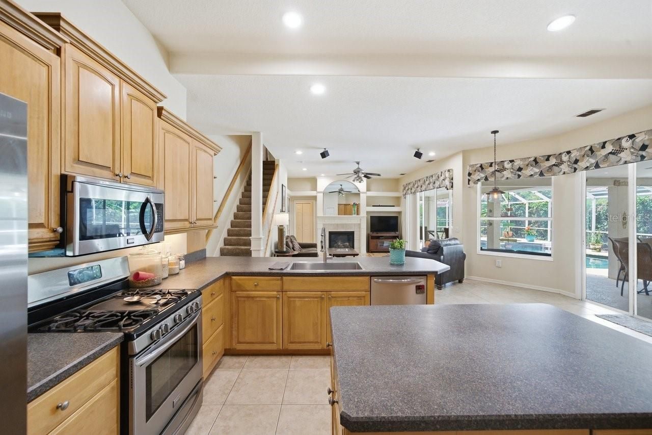 2138 Edelweiss Loop, Trinity, FL 34655 Photo