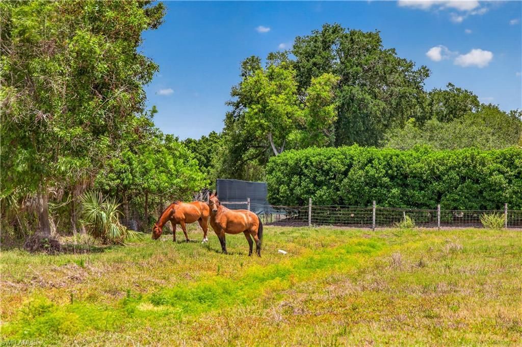 6670 Pangola Rd, Fort Myers, FL 33905 Photo