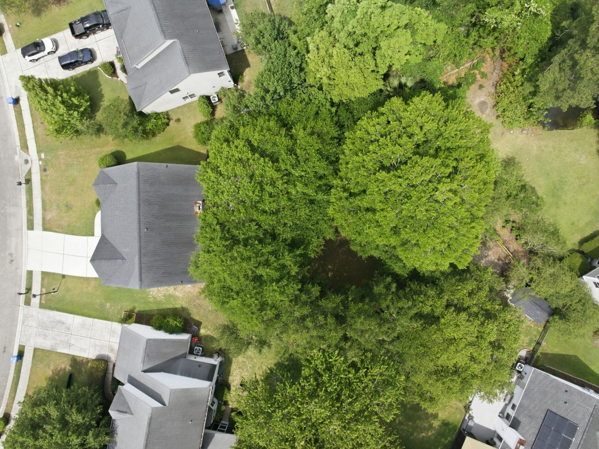 418 Antebellum Lane Photo 44
