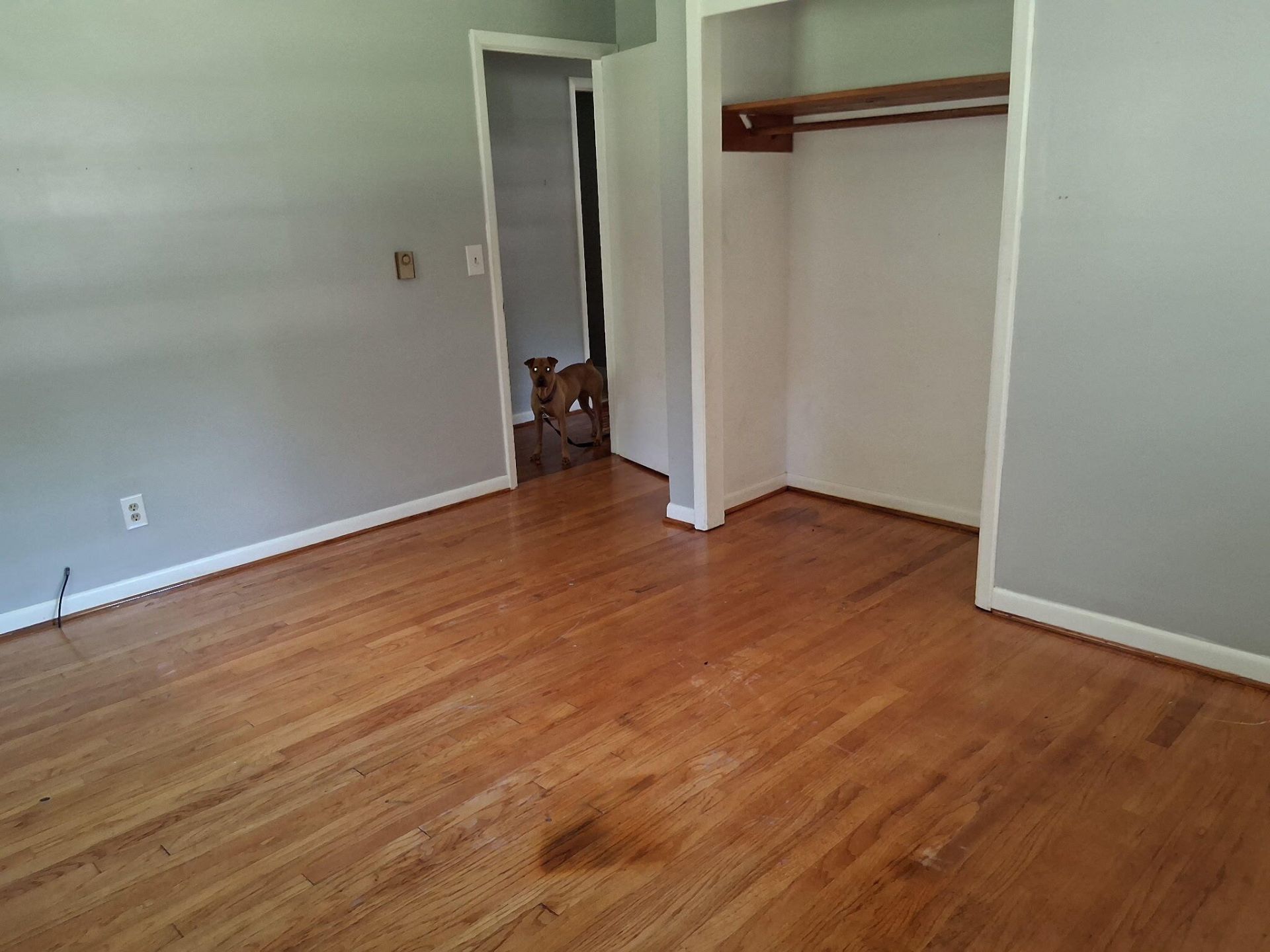 1120 Graham Street Photo 6