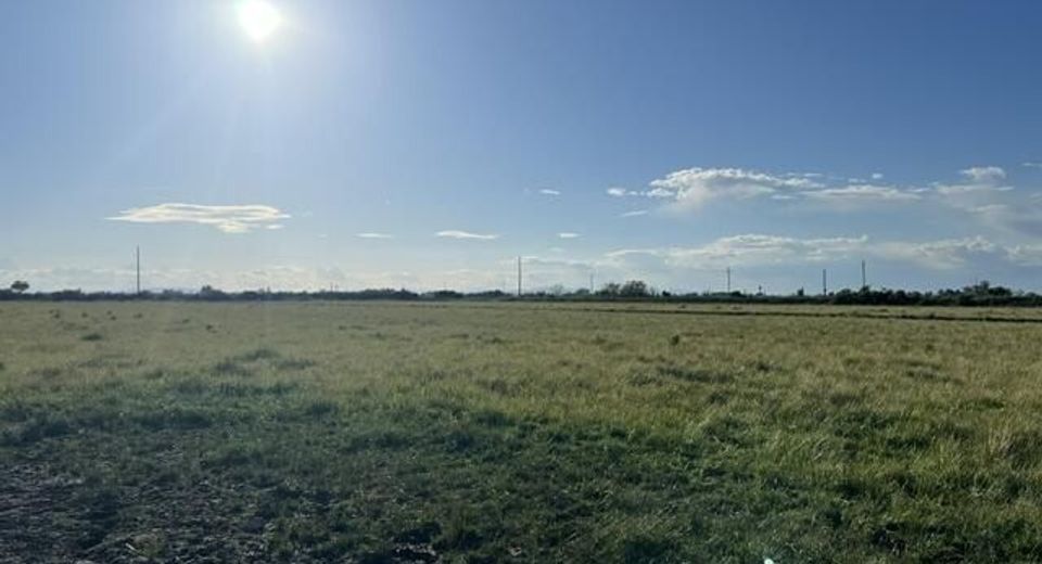 40 Acres On Triple E Lane, Fallon, NV 89406 Photo