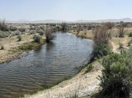 40 Acres On Triple E Lane, Fallon, NV 89406 Photo