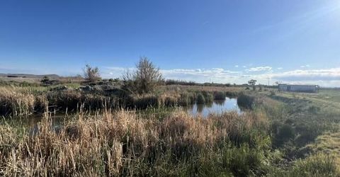 40 Acres On Triple E Lane, Fallon, NV 89406 Photo