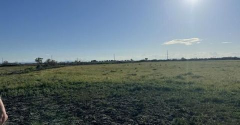 40 Acres On Triple E Lane, Fallon, NV 89406 Photo