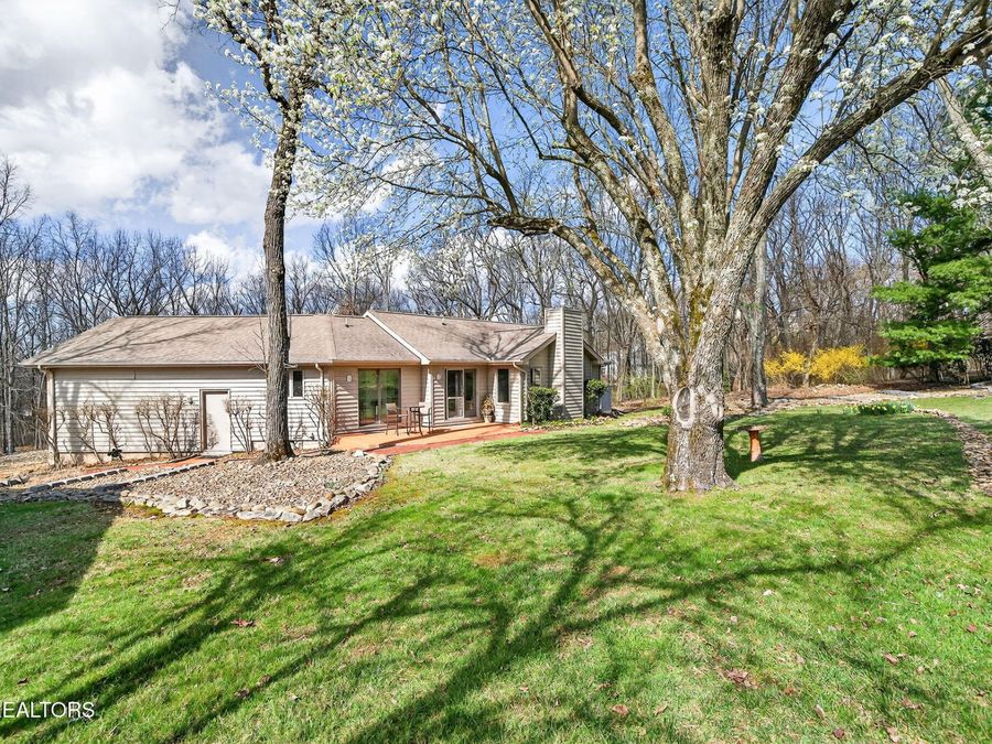 Property Image 36