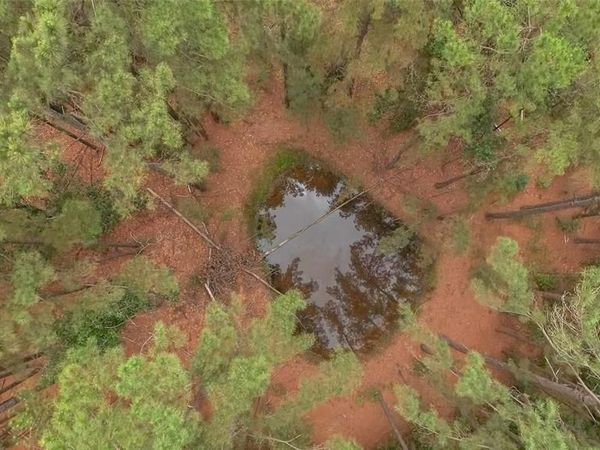 TBD FCR 273, Oakwood, TX 75855