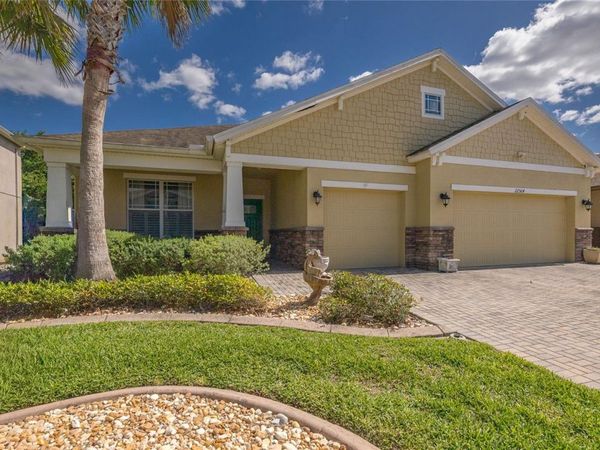 22564 CHEROKEE ROSE PLACE , LAND O LAKES, FL 34639