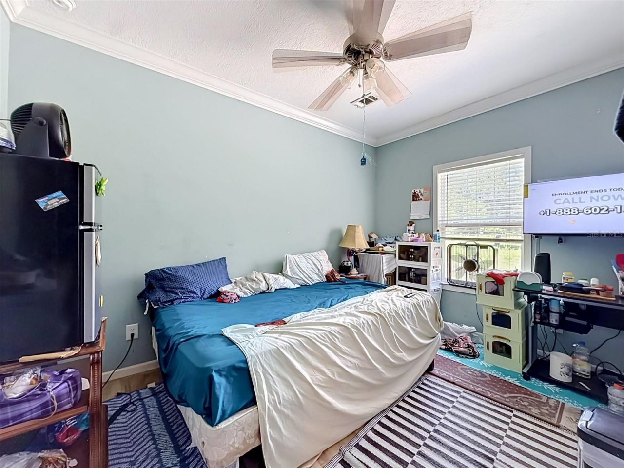 1689 NE 189th Lane, Citra, FL 32113 Photo