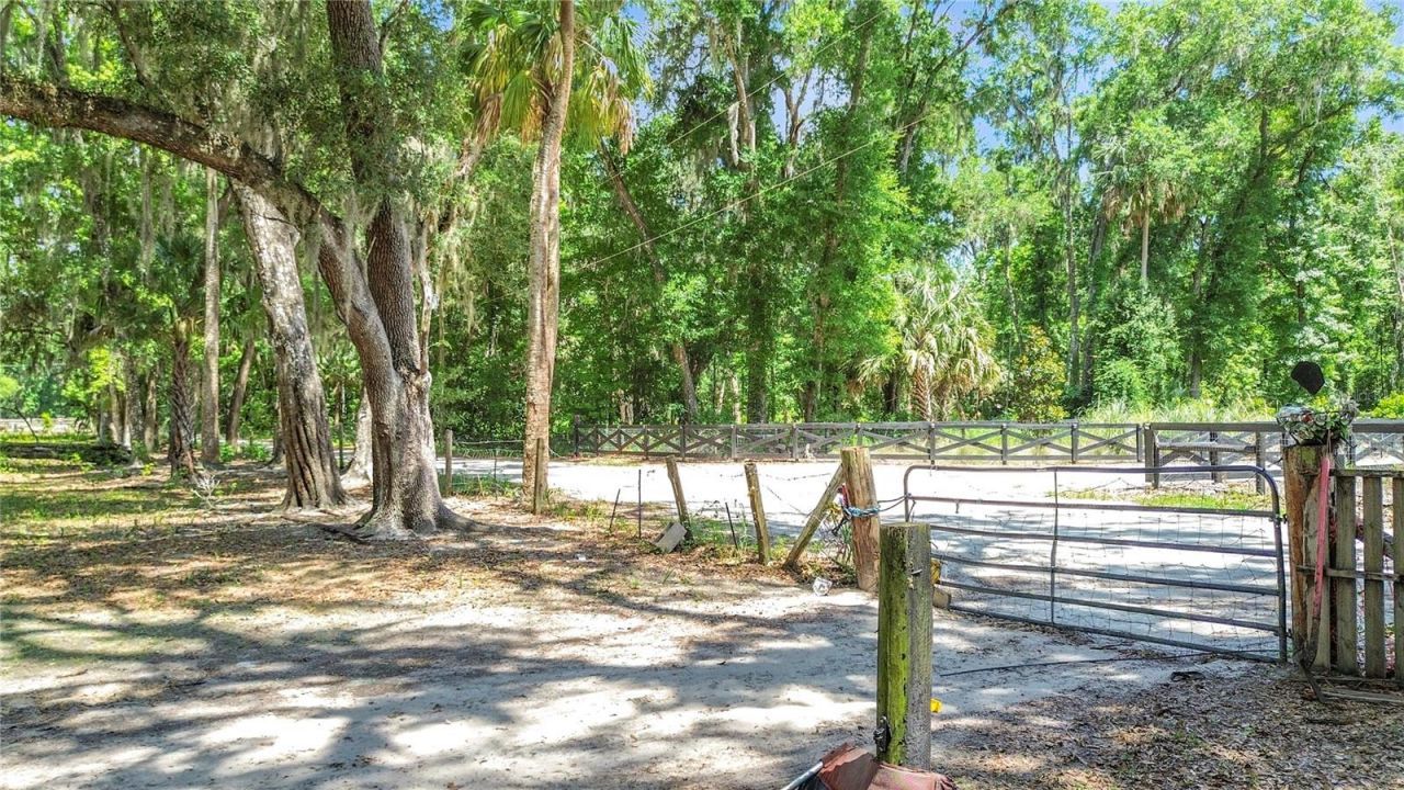 1689 NE 189th Lane, Citra, FL 32113 Photo