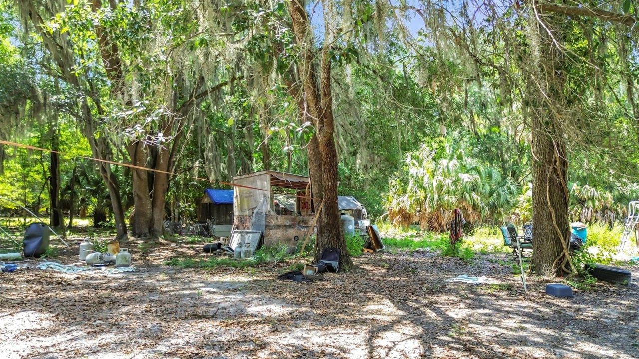 1689 NE 189th Lane, Citra, FL 32113 Photo