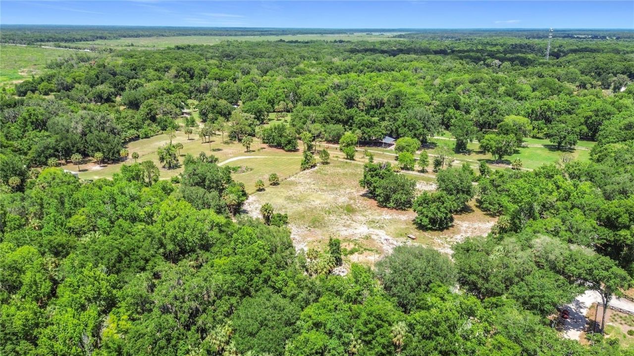 1689 NE 189th Lane, Citra, FL 32113 Photo