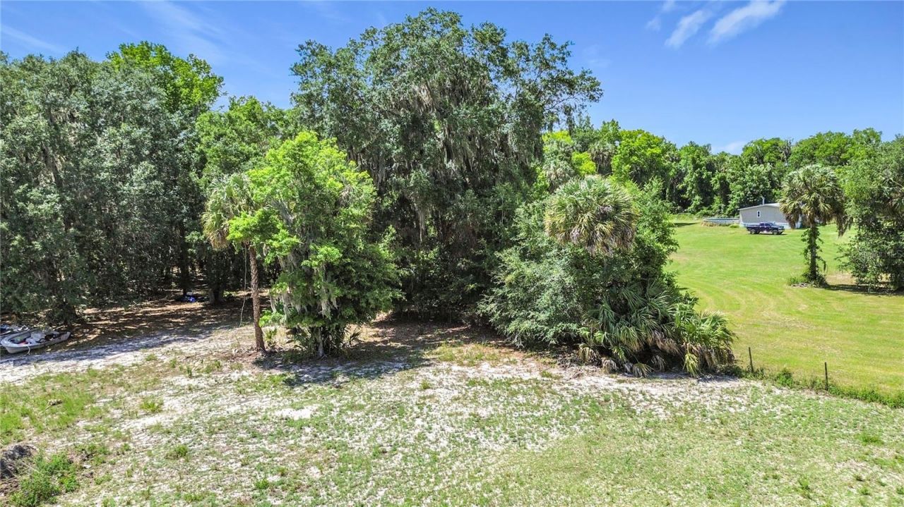 1689 NE 189th Lane, Citra, FL 32113 Photo
