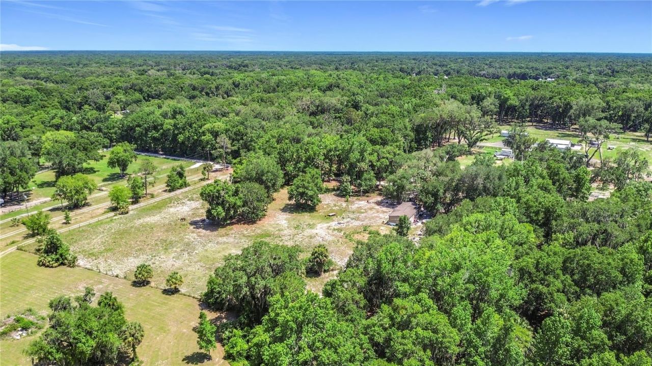 1689 NE 189th Lane, Citra, FL 32113 Photo