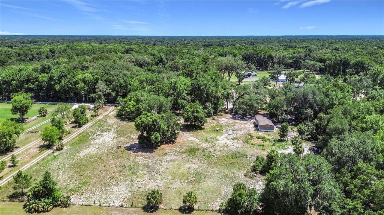 1689 NE 189th Lane, Citra, FL 32113 Photo
