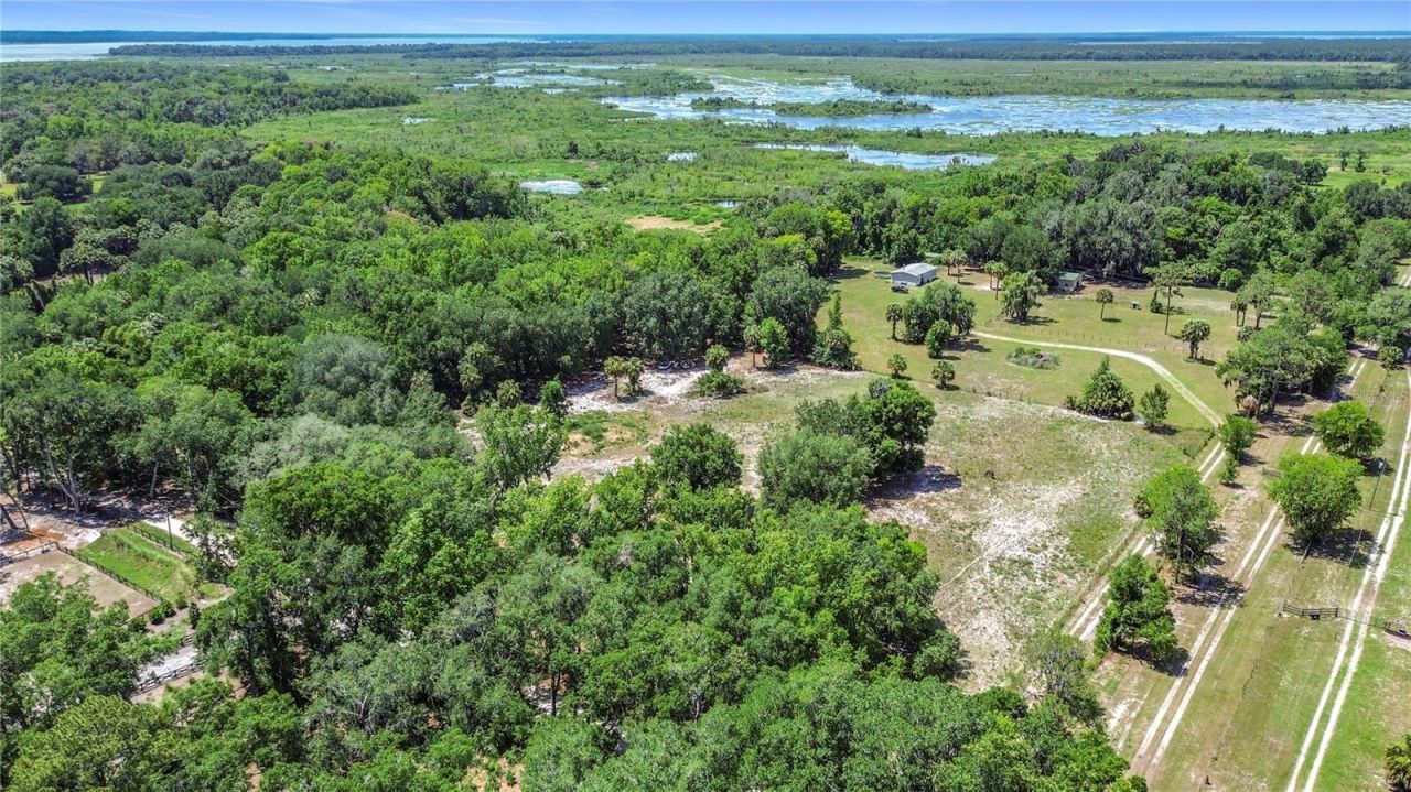1689 NE 189th Lane, Citra, FL 32113 Photo