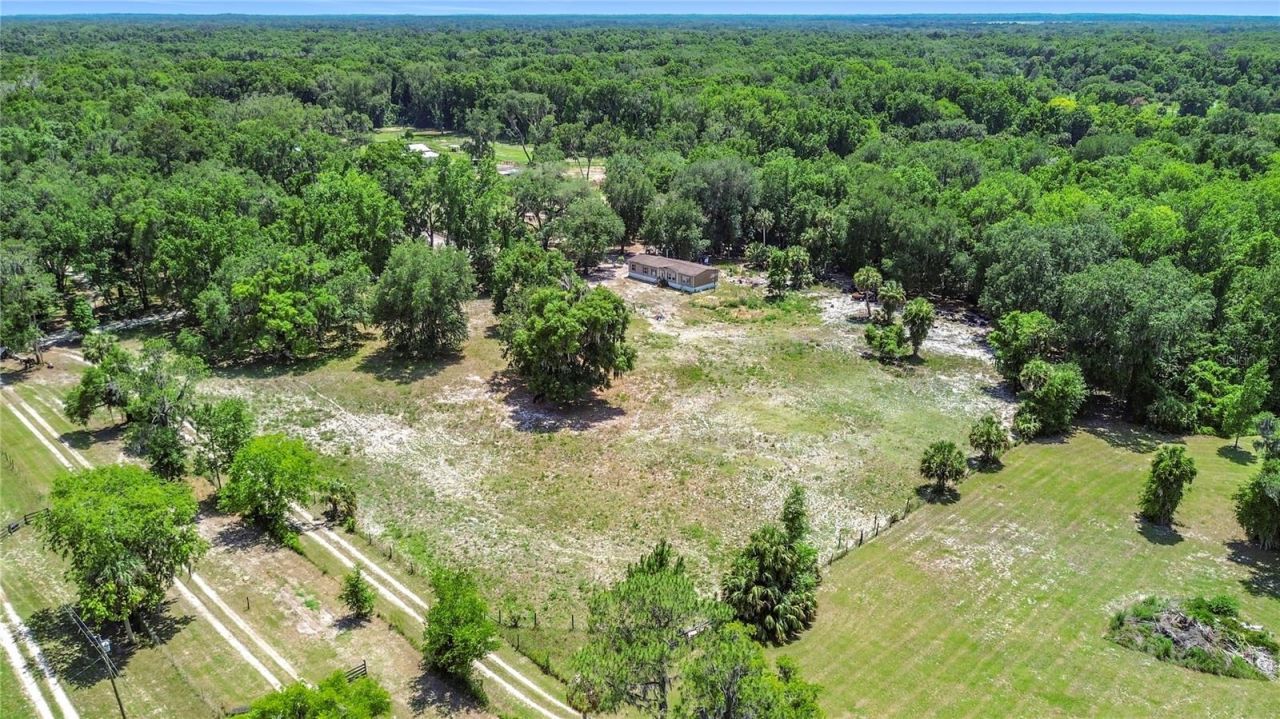 1689 NE 189th Lane, Citra, FL 32113 Photo