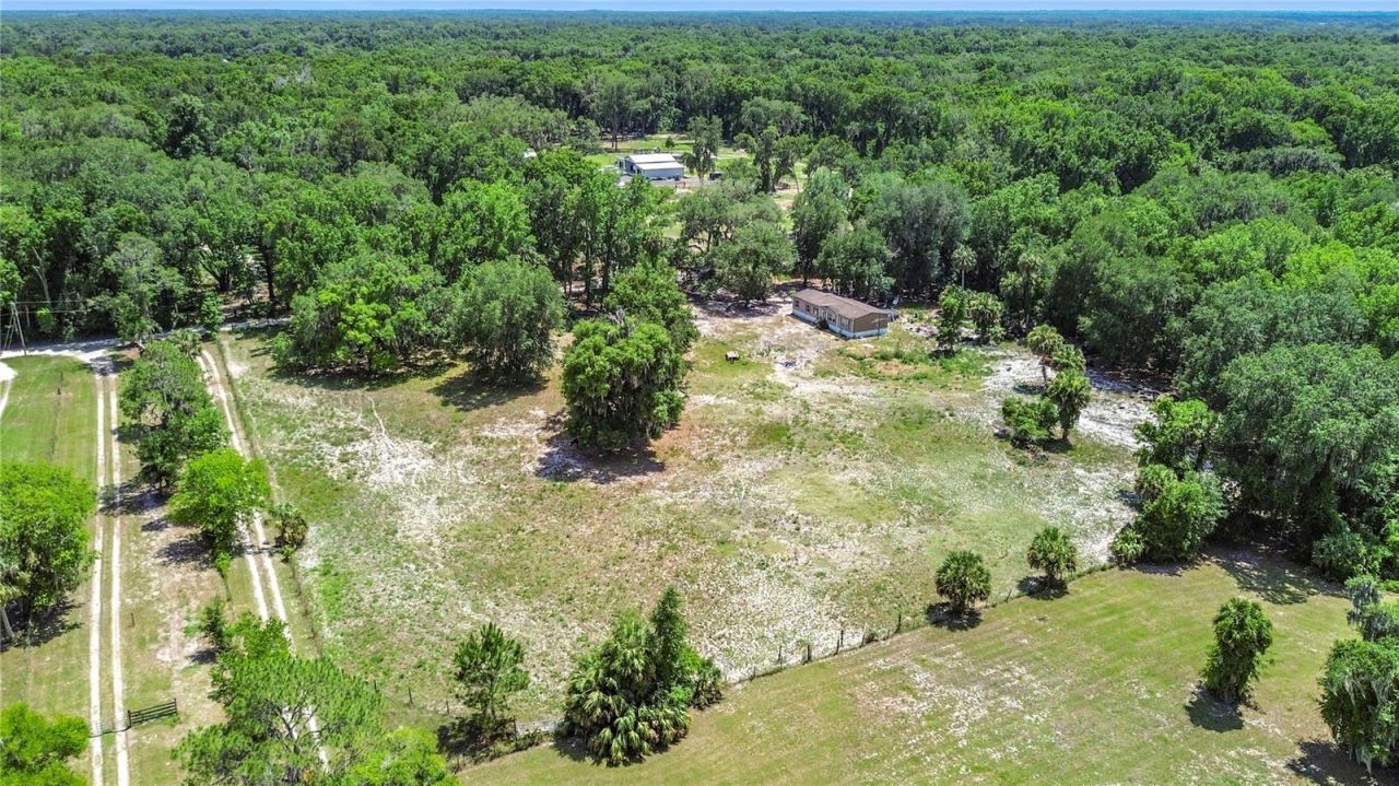 1689 NE 189th Lane, Citra, FL 32113 Photo