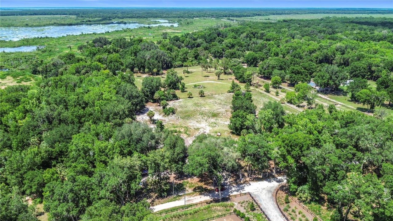 1689 NE 189th Lane, Citra, FL 32113 Photo
