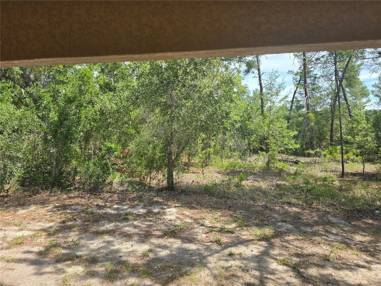 43 Matricaria Court, Homosassa, FL 34446 Photo