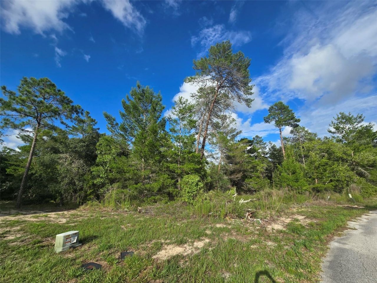43 Matricaria Court, Homosassa, FL 34446 Photo
