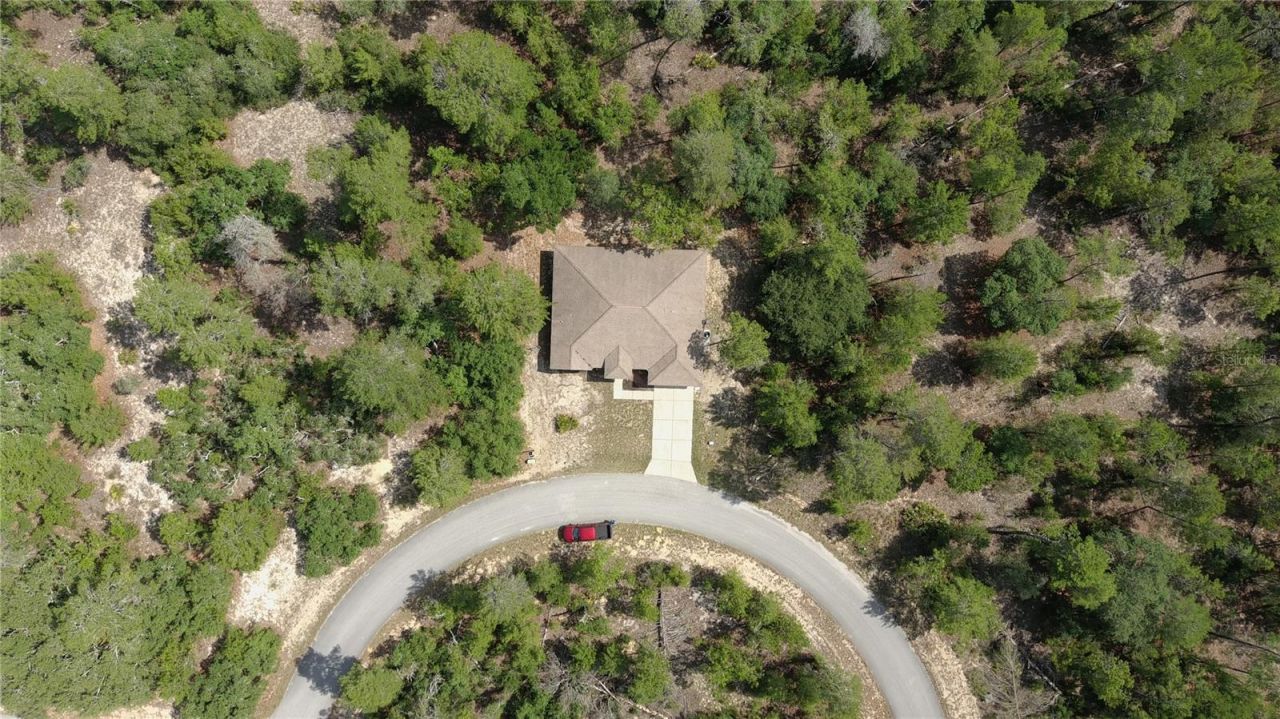 43 Matricaria Court, Homosassa, FL 34446 Photo