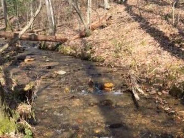 0 Gooch Creek Cove, Suches, GA 30572