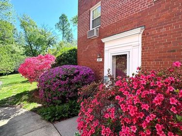 1619 MOUNT EAGLE PLACE, ALEXANDRIA, VA 22302