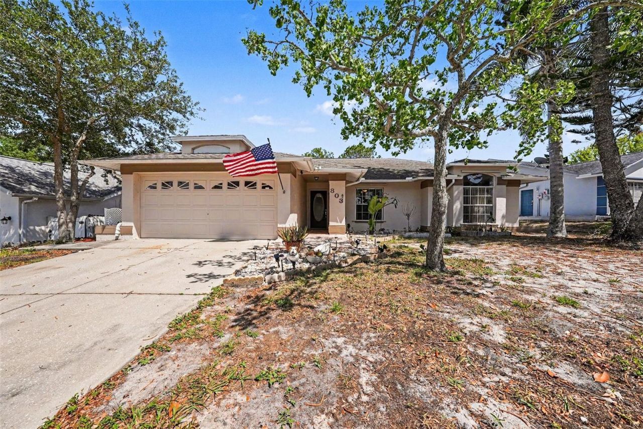 803 High Point Court, Tarpon Springs, FL 34689 Main Photo