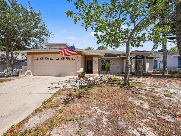 803 HIGH POINT COURT, TARPON SPRINGS, FL 34689