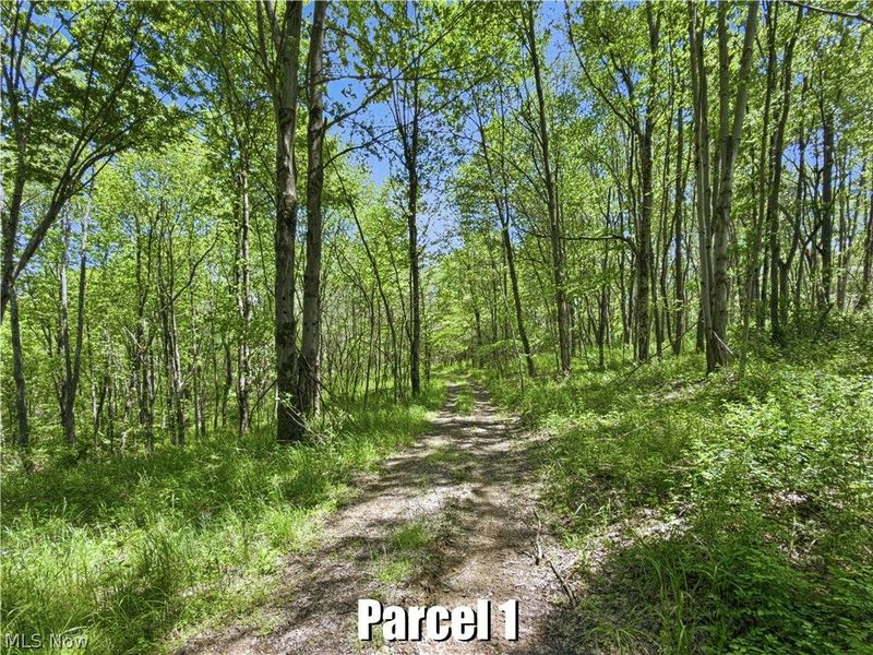 7220 Avon Road NE, Carrollton, OH 44615 Photo 31