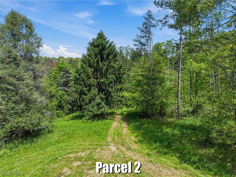 7220 Avon Road NE, Carrollton, OH 44615 Photo 49