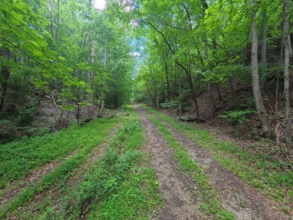 195 Sherwood Lane , Unit 12, Harriman, TN 37748