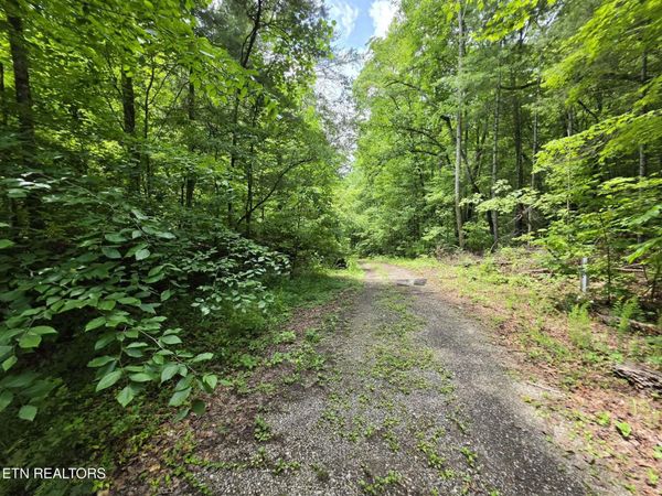 195 Sherwood Lane , Unit 12, Harriman, TN 37748