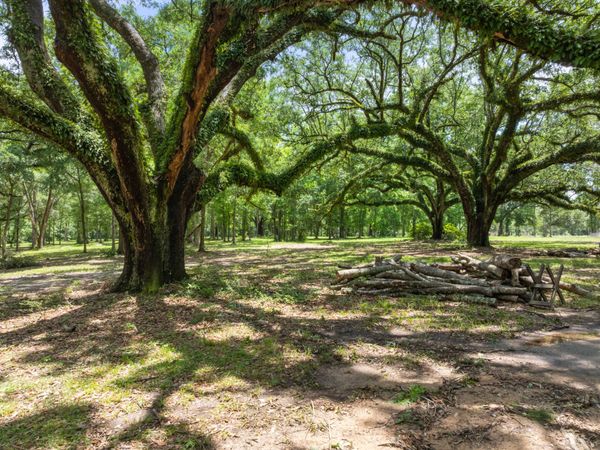 72 F Z Goss, Picayune, MS 39466