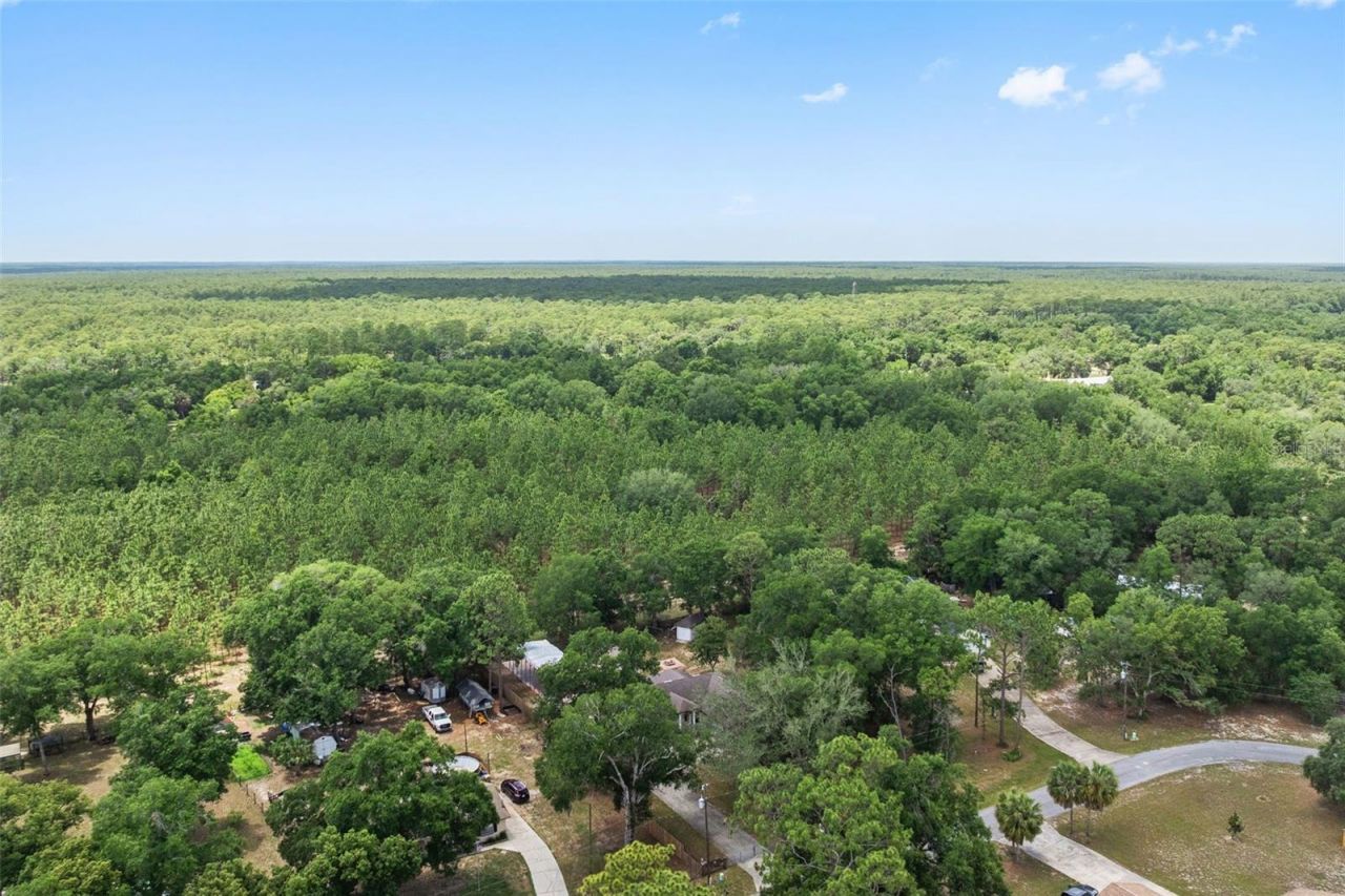 25335 Mardon Circle, Paisley, FL 32767 Photo
