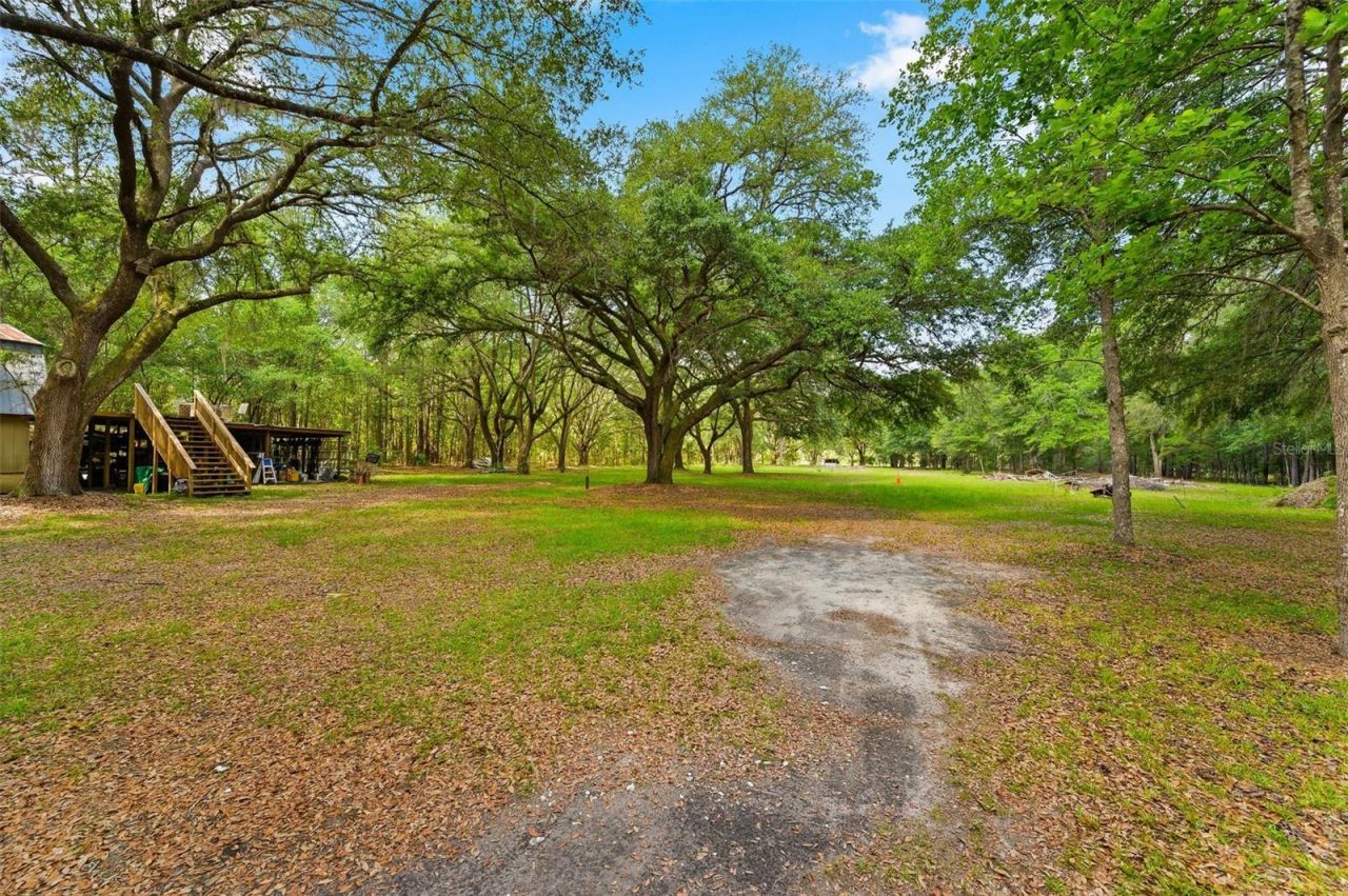 16422 NE 10th Street, Gainesville, FL 32609 Photo