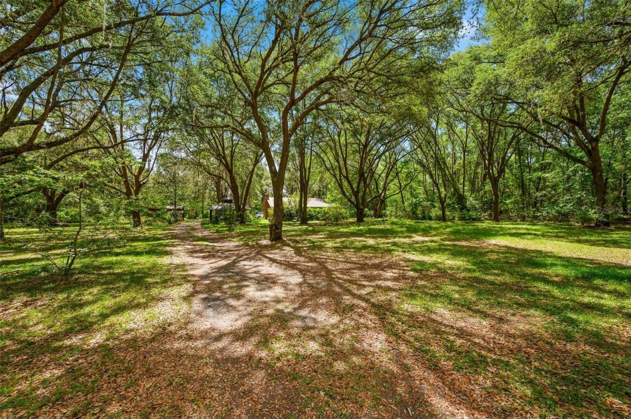 16422 NE 10th Street, Gainesville, FL 32609 Photo