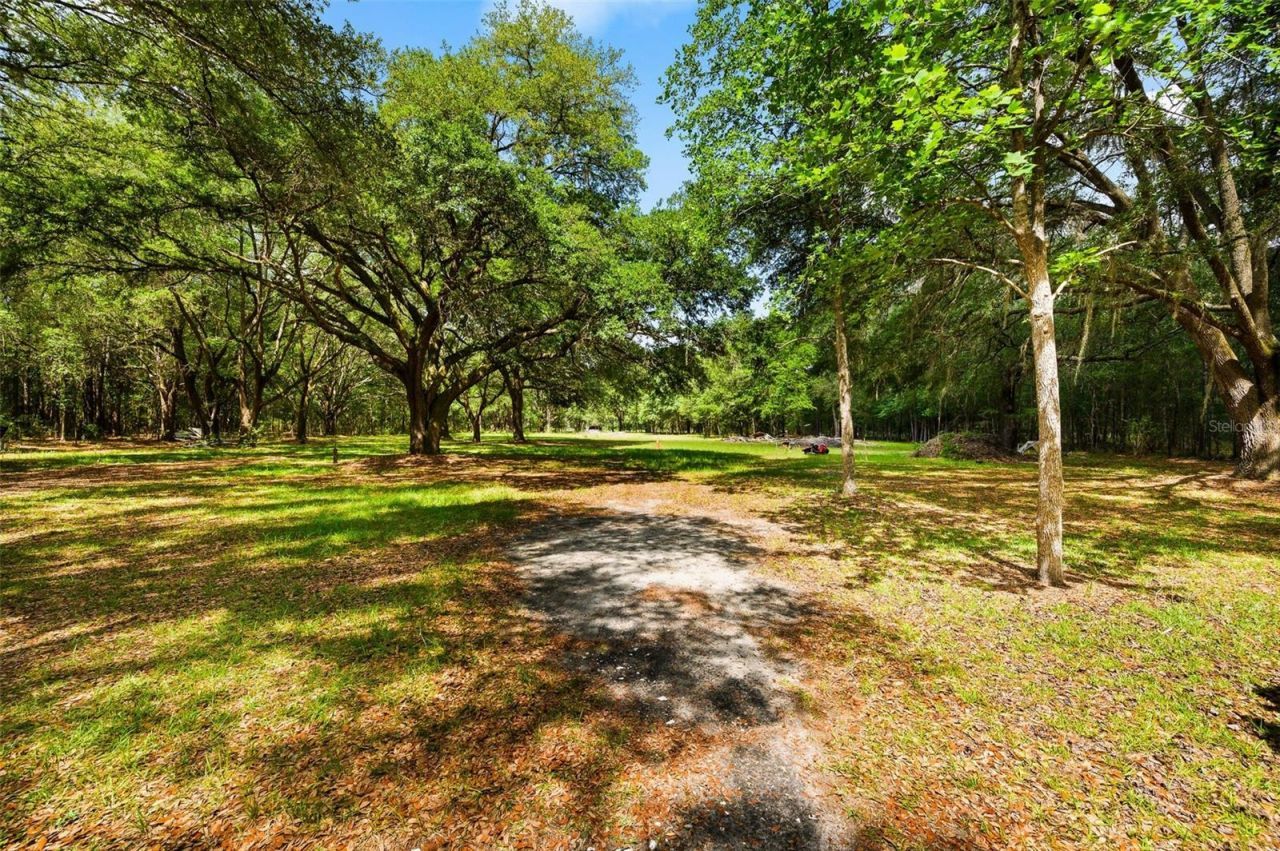 16422 NE 10th Street, Gainesville, FL 32609 Photo