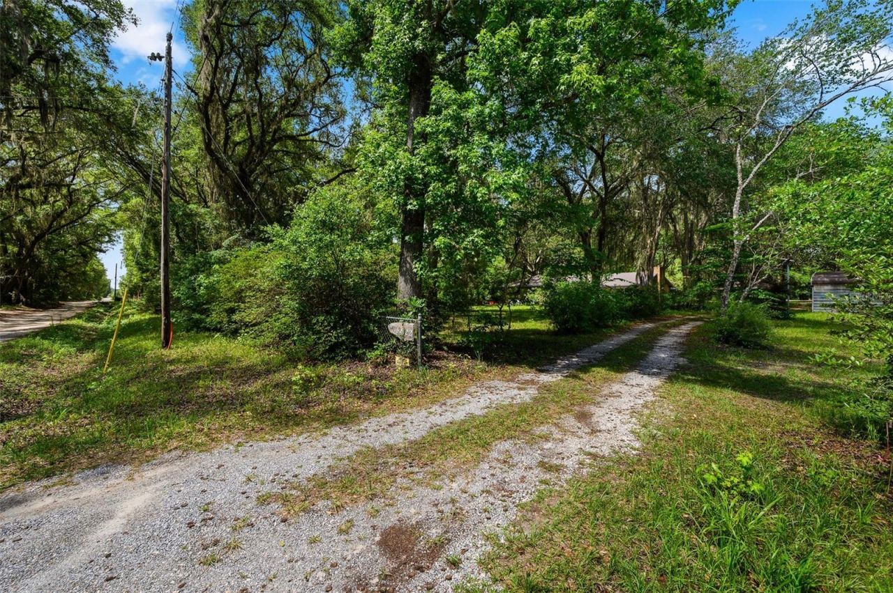 16422 NE 10th Street, Gainesville, FL 32609 Photo