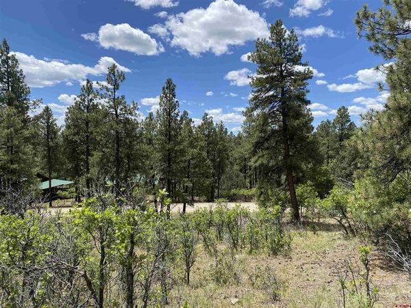 124 Granada Drive, Pagosa Springs, CO 81147