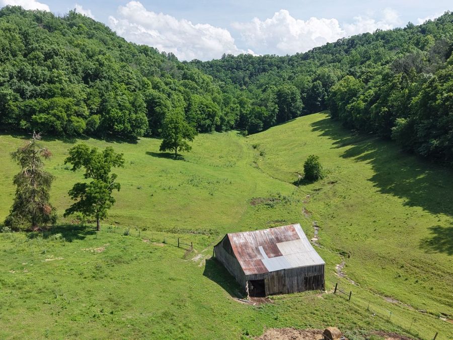 Property Image 11