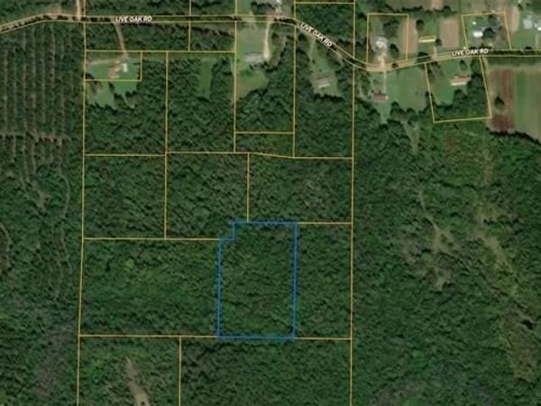 NHN WILL ROBERTS Road , Angie, LA 70426